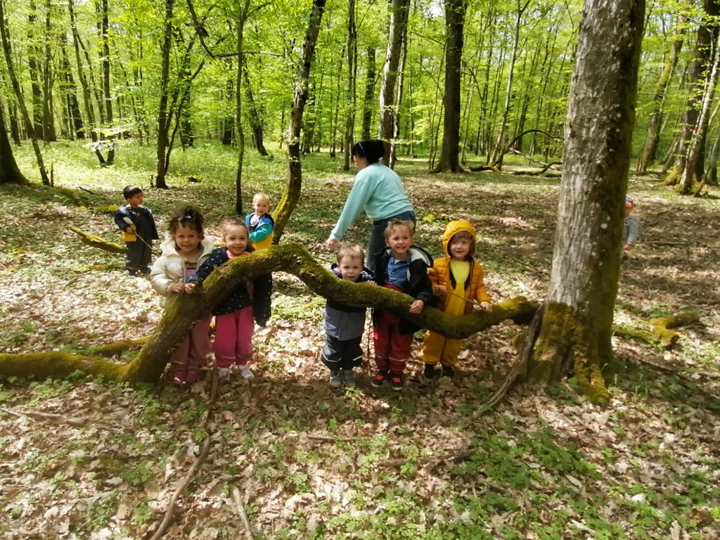 Crèche Les Frimousses, balade en forêt